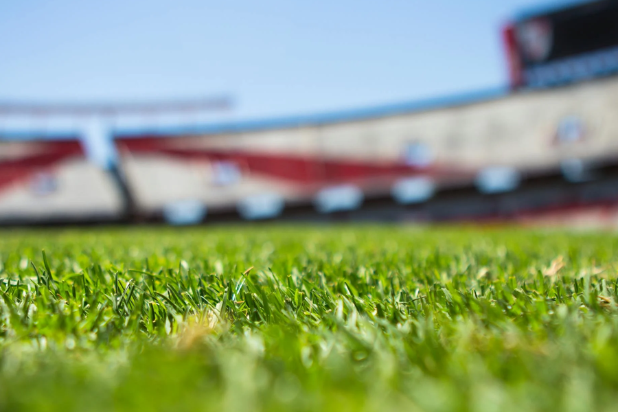 Manchester City vs Sunderland